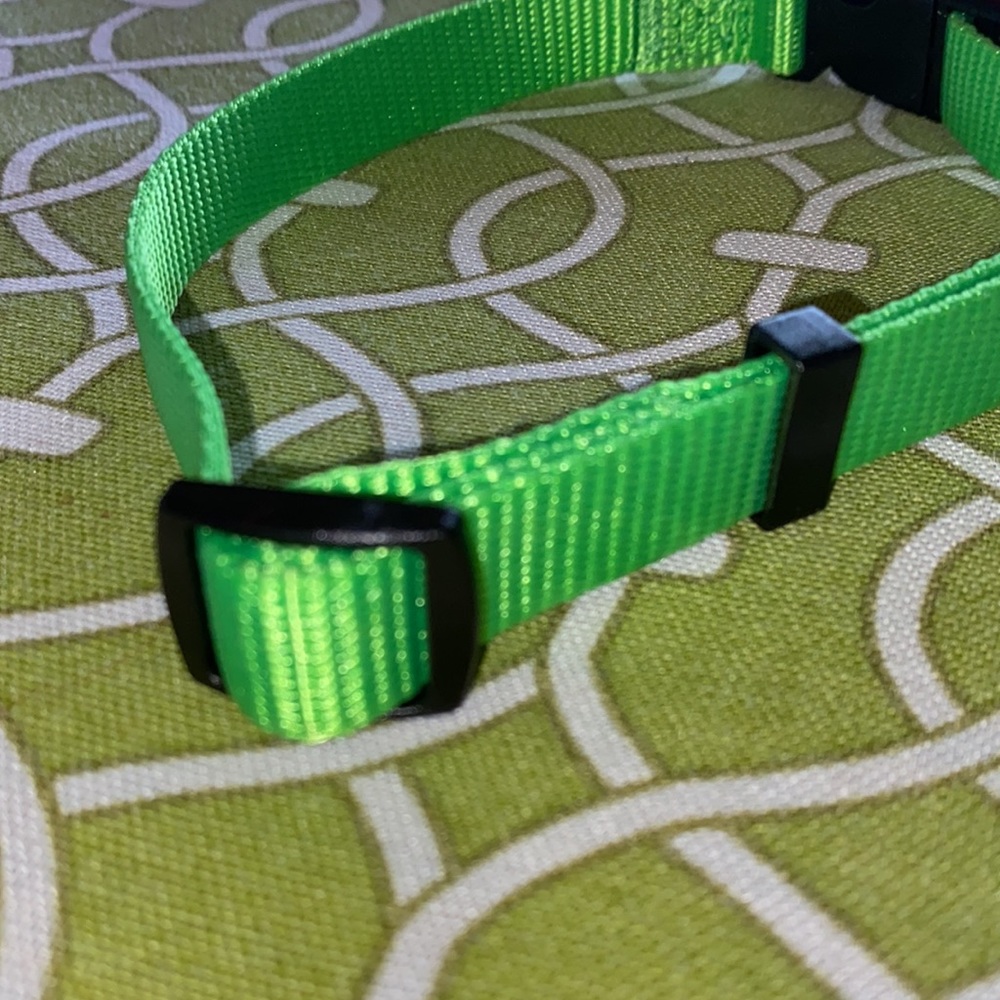 New Meijer medium dog collar - Picture 6 of 6